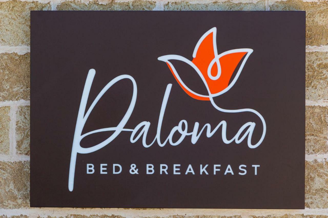 Paloma B&B Porto Cesareo Exterior photo